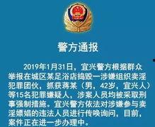 重点新闻爆料怎么写,深度剖析事件背后真相