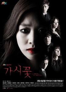 荆棘花电视剧在线观看,情感纠葛中的命运抉择